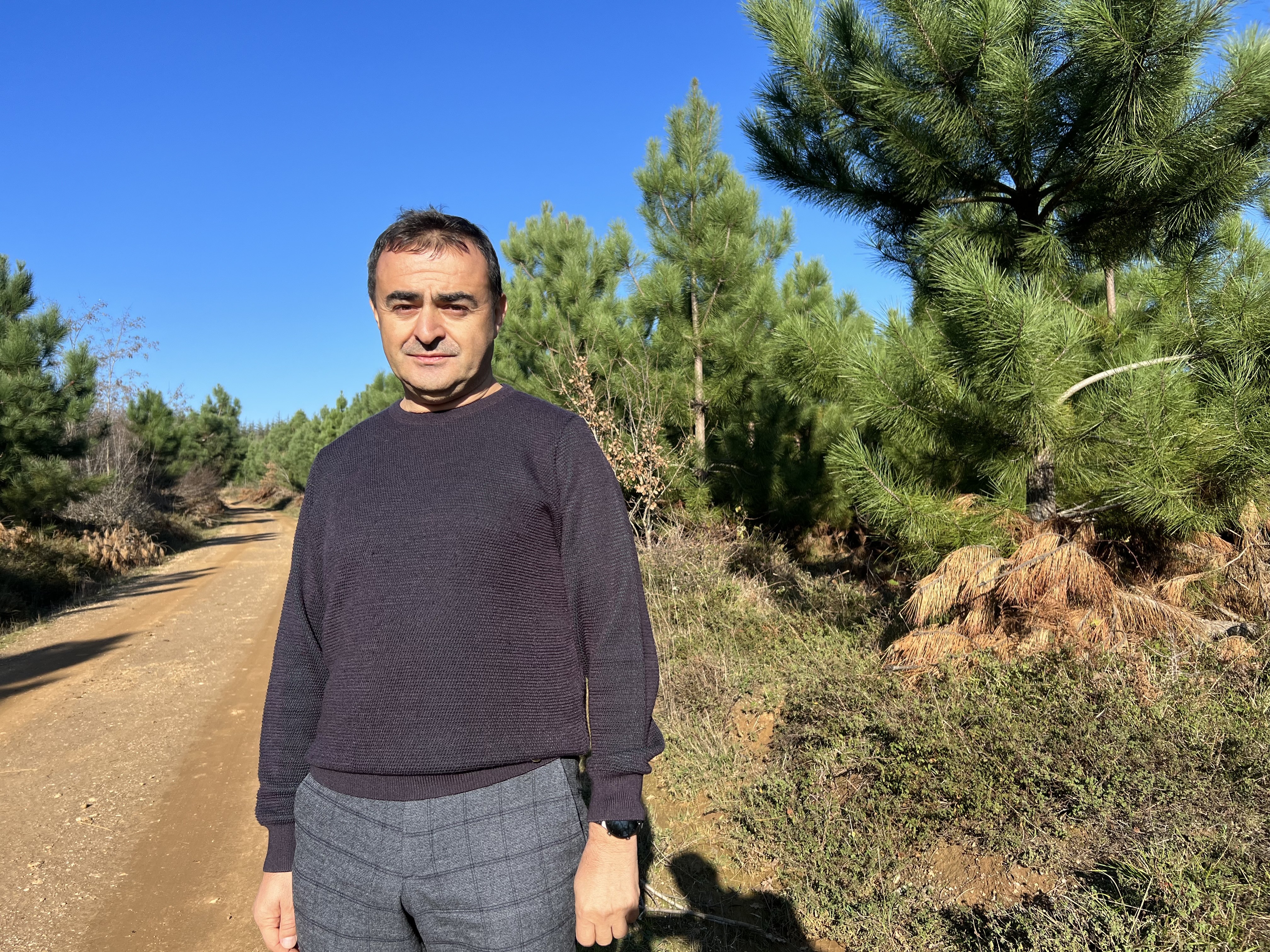 Endüstriyel plantasyonlar, doğal ormanların korunmasına çare oluyor-1124 etkinliği yapıldı